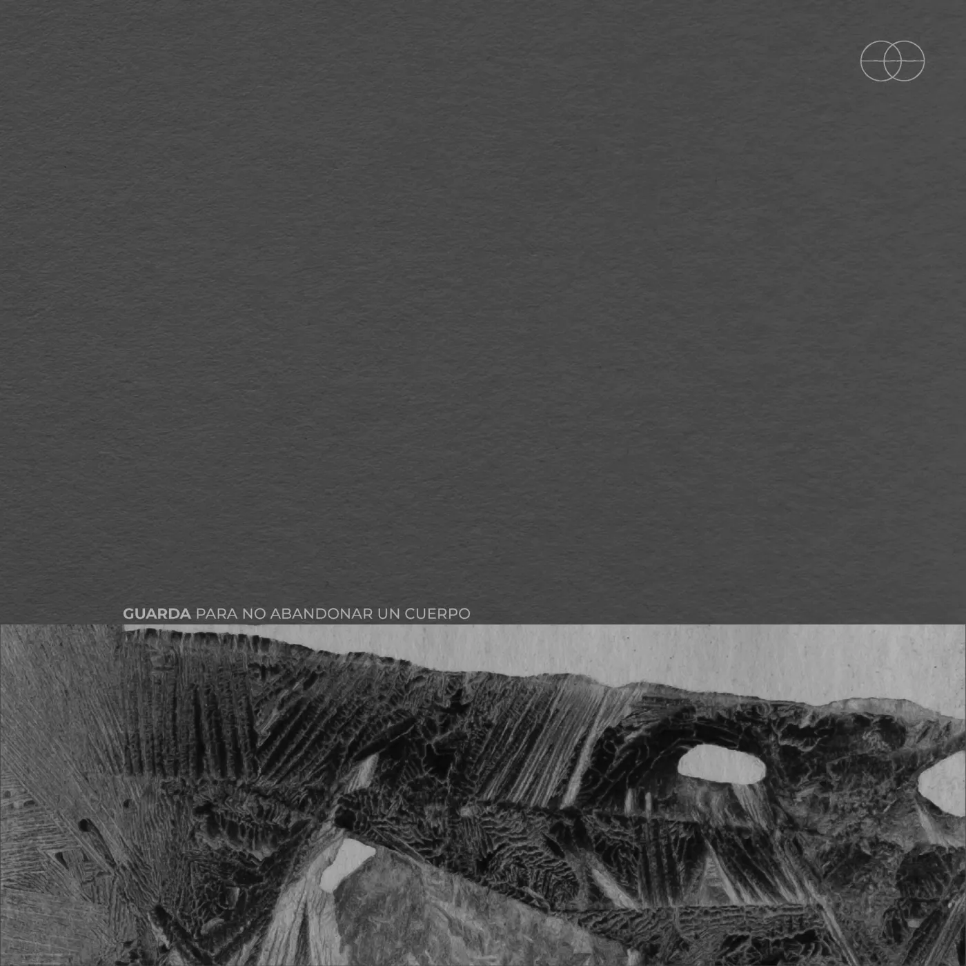 Para No Abandonar Un Cuerpo Cover